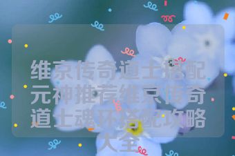 维京传奇道士搭配元神推荐维京传奇道士魂环搭配攻略大全
