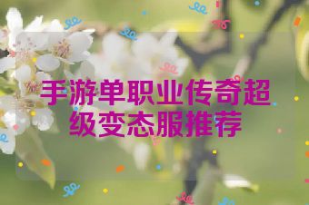 手游单职业传奇超级变态服推荐