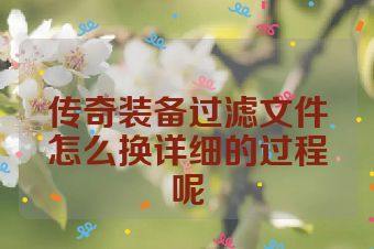 传奇装备过滤文件怎么换详细的过程呢