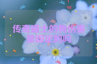 传奇道士的狗伤害是固定的吗