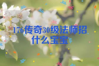 176传奇30级法师招什么宝宝