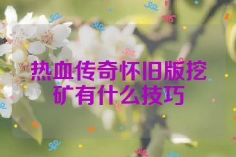 热血传奇怀旧版挖矿有什么技巧