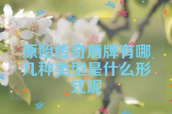 原始传奇盾牌有哪几种类型是什么形式呢
