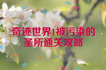 奇迹世界1被污染的圣所通关攻略