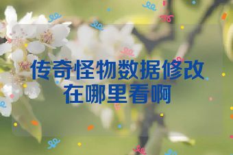传奇怪物数据修改在哪里看啊