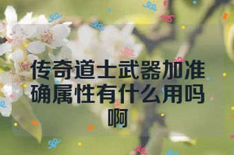 传奇道士武器加准确属性有什么用吗啊