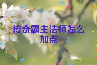 传奇霸主法师怎么加点