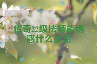 传奇22级法师能诱惑什么宝宝