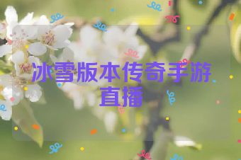 冰雪版本传奇手游直播