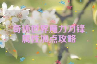 奇迹世界魔力刀锋属性加点攻略