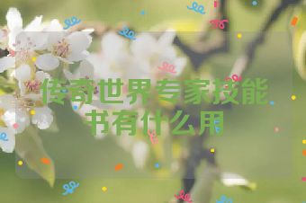 传奇世界专家技能书有什么用