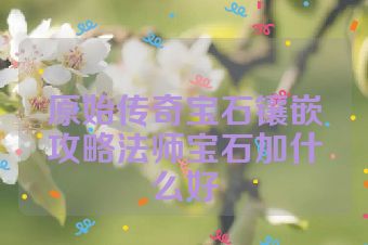 原始传奇宝石镶嵌攻略法师宝石加什么好