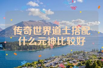 传奇世界道士搭配什么元神比较好