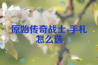 原始传奇战士s手札怎么选