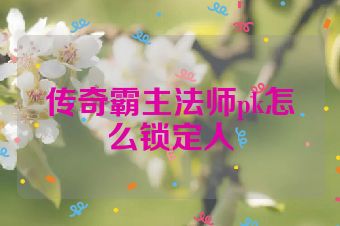 传奇霸主法师pk怎么锁定人