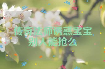 传奇法师诱惑宝宝别人能抢么