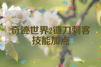 奇迹世界2镰刀刺客技能加点