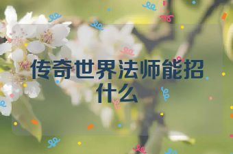 传奇世界法师能招什么