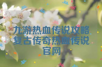 九游热血传说攻略复古传奇热血传说官网