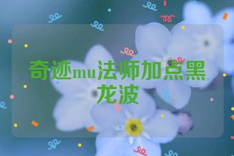 奇迹mu法师加点黑龙波