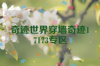 奇迹世界穿墙奇迹17173专区