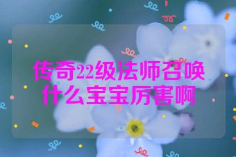 传奇22级法师召唤什么宝宝厉害啊
