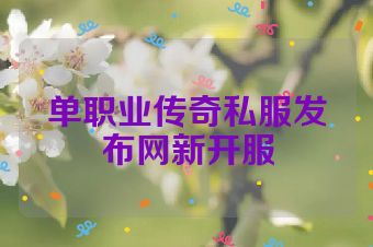 单职业传奇私服发布网新开服