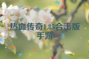 热血传奇1.85合击版手游
