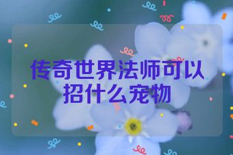 传奇世界法师可以招什么宠物