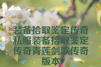 装备拾取鉴定传奇私服装备拾取鉴定传奇青莲剑歌传奇版本