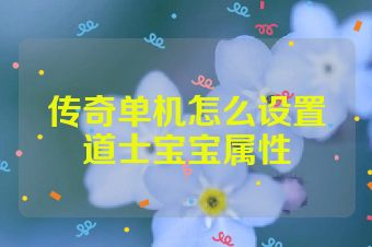 传奇单机怎么设置道士宝宝属性