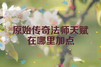原始传奇法师天赋在哪里加点