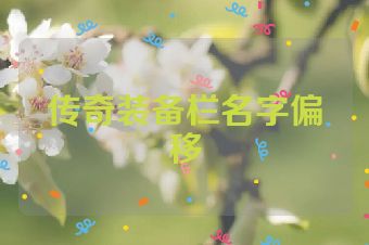 传奇装备栏名字偏移