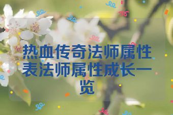 热血传奇法师属性表法师属性成长一览