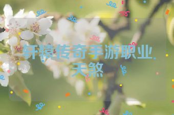 轩辕传奇手游职业天煞