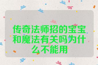 传奇法师招的宝宝和魔法有关吗为什么不能用