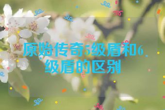 原始传奇5级盾和6级盾的区别