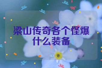 梁山传奇各个怪爆什么装备