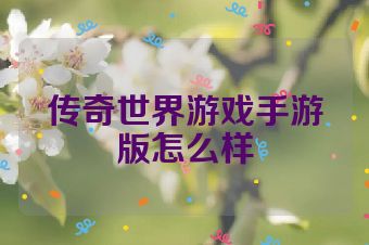 传奇世界游戏手游版怎么样