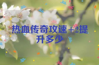 热血传奇攻速+2提升多少