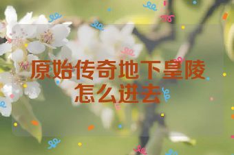 原始传奇地下皇陵怎么进去