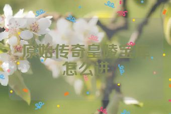 原始传奇皇陵宝库怎么进