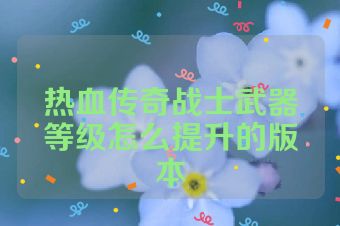 热血传奇战士武器等级怎么提升的版本
