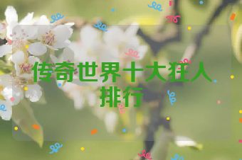 传奇世界十大狂人排行