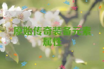 原始传奇装备元素属性