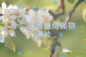 十二生肖传奇怪物照片