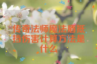 传奇法师魔法盾抵挡伤害计算方法是什么