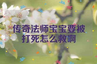 传奇法师宝宝要被打死怎么救啊