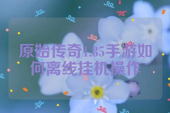 原始传奇1.85手游如何离线挂机操作