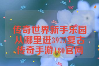 传奇世界新手乐园从哪里进3975复古传奇手游180官网
